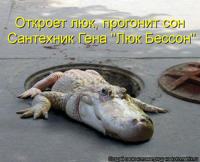 Сантехник Гена "Люк Бессон" Откроет люк, прогонит сон... Котоматрица: Сантехник Гена "Люк Бессон" Откроет люк, прогонит сон