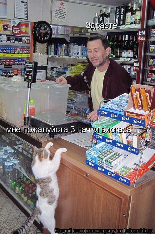 Котоматрица: Здрасте мне пожалуйста 3 пачки вискаса