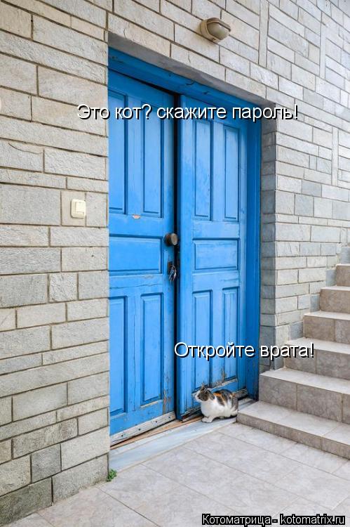 Котоматрица: Откройте врата! Это кот? скажите пароль!