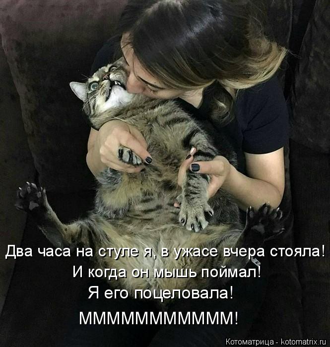 Котоматрица: И когда он мышь поймал! Я его поцеловала! МММММММММММ! Два часа на стуле я, в ужасе вчера стояла!