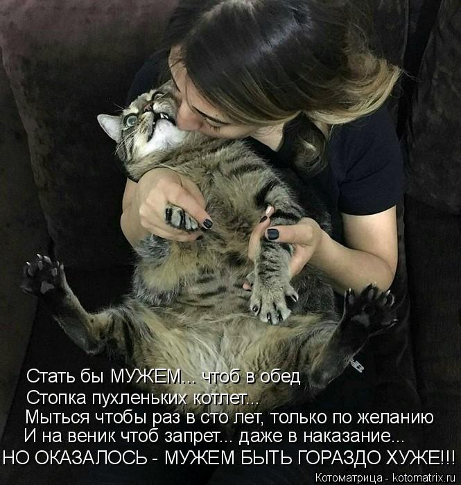 Котоматрица: Стать бы МУЖЕМ... чтоб в обед Стопка пухленьких котлет... Мыться чтобы раз в сто лет, только по желанию И на веник чтоб запрет... даже в наказани