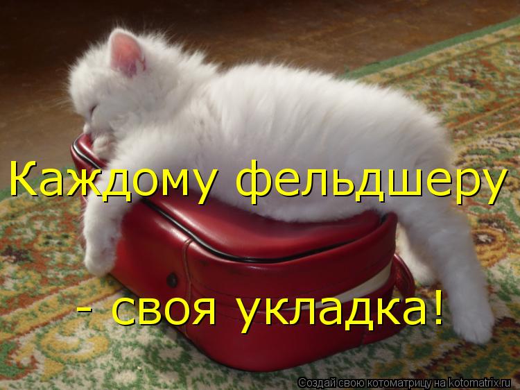 Котоматрица: Каждому фельдшеру  - своя укладка!