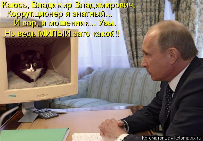 Котоматрица: Каюсь, Владимир Владимирович.  Коррупционер я знатный... И вор, и мошенник... Увы. Но ведь МИЛЫЙ зато какой!!