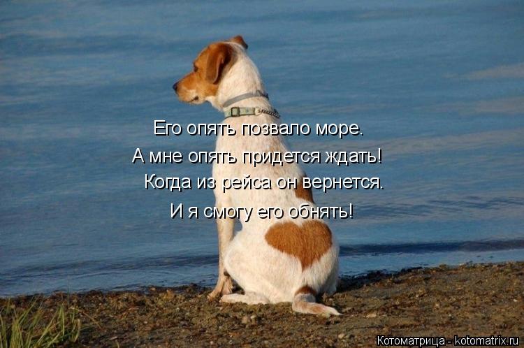 Когда из рейса он вернется. И я смогу его обнять! Его опять позвало море. А мне опять придется ждать!... Котоматрица: Когда из рейса он вернется. И я смогу его обнять! Его опять позвало море. А мне опять придется ждать!