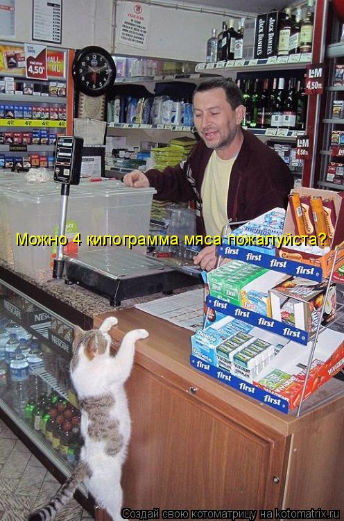 Можно 4 килограмма мяса пожалуйста?... Котоматрица: Можно 4 килограмма мяса пожалуйста?