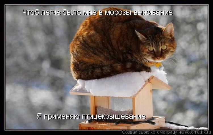 Чтоб легче было мне в морозы выживание Я применяю птицекрышевание... Котоматрица: Чтоб легче было мне в морозы выживание Я применяю птицекрышевание