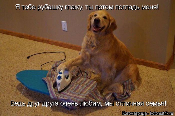 Ведь друг друга очень любим, мы отличная семья! Я тебе рубашку глажу, ты потом погладь меня!... Котоматрица: Ведь друг друга очень любим, мы отличная семья! Я тебе рубашку глажу, ты потом погладь меня!