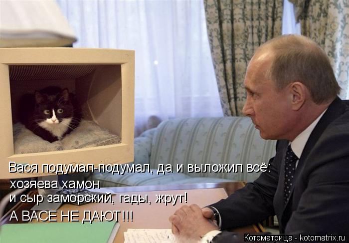 Вася подумал-подумал, да и выложил всё: хозяева хамон и сыр заморский, гады, жрут! А ВАСЕ НЕ ДАЮТ!!!... Котоматрица: Вася подумал-подумал, да и выложил всё: хозяева хамон и сыр заморский, гады, жрут! А ВАСЕ НЕ ДАЮТ!!!