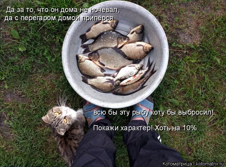 Да за то, что он дома не ночевал, да с перегаром домой припёрся всю бы эту рыбу коту бы выбросил! да... Котоматрица: Да за то, что он дома не ночевал, да с перегаром домой припёрся всю бы эту рыбу коту бы выбросил! да с перегаром домой припёрся Покажи характ?