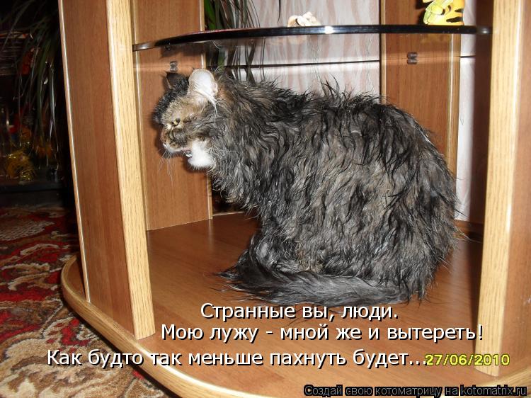 Странные вы, люди. Мою лужу - мной же и вытереть! Как будто так меньше пахнуть будет...... Котоматрица: Странные вы, люди. Мою лужу - мной же и вытереть! Как будто так меньше пахнуть будет...