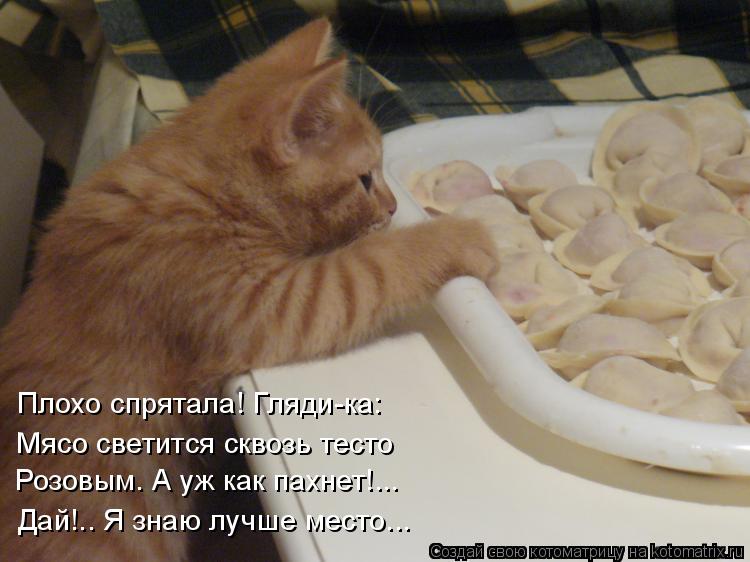 Плохо спрятала! Гляди-ка: Мясо светится сквозь тесто Розовым. А уж как пахнет!... Дай!.. Я знаю лучше... Котоматрица: Плохо спрятала! Гляди-ка: Мясо светится сквозь тесто Розовым. А уж как пахнет!... Дай!.. Я знаю лучше место...