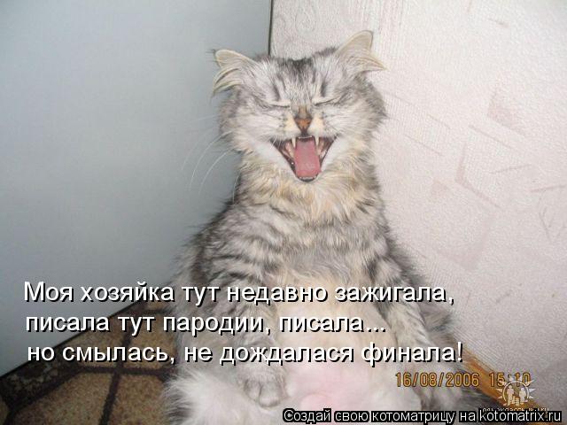 Моя хозяйка тут недавно зажигала, писала тут пародии, писала... но смылась, не дождалася финала!... Котоматрица: Моя хозяйка тут недавно зажигала, писала тут пародии, писала... но смылась, не дождалася финала!