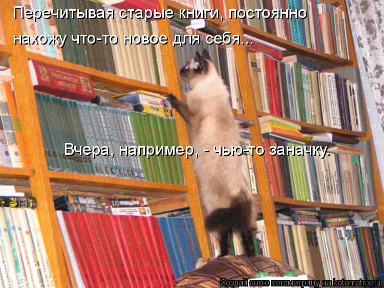 Перечитывая старые книги, постоянно нахожу что-то новое для себя... Вчера, например, - чью-то заначк... Котоматрица: Перечитывая старые книги, постоянно нахожу что-то новое для себя... Вчера, например, - чью-то заначку.