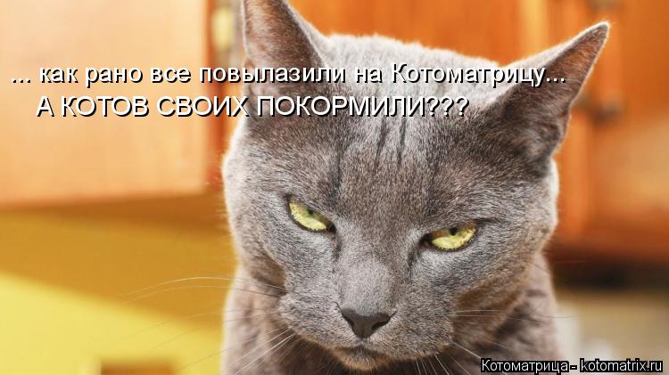 ... как рано все повылазили на Котоматрицу... А КОТОВ СВОИХ ПОКОРМИЛИ???... Котоматрица: ... как рано все повылазили на Котоматрицу... А КОТОВ СВОИХ ПОКОРМИЛИ???