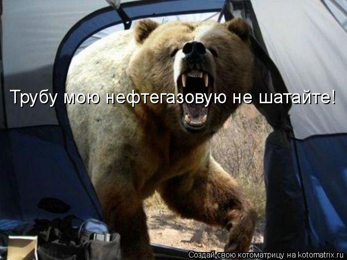 Трубу мою нефтегазовую не шатайте!... Котоматрица: Трубу мою нефтегазовую не шатайте!