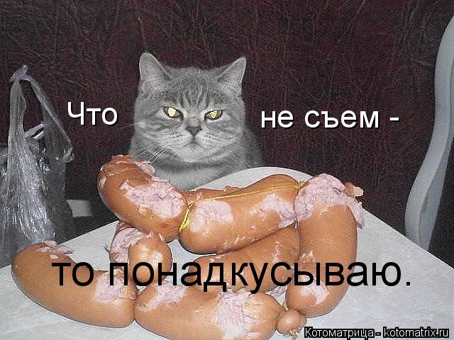 Что не съем - то понадкусываю.... Котоматрица: Что не съем - то понадкусываю.