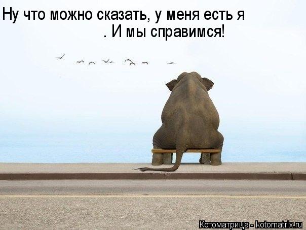 Ну что можно сказать, у меня есть я . И мы справимся!... Котоматрица: Ну что можно сказать, у меня есть я . И мы справимся!