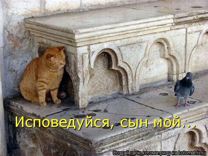 Исповедуйся, сын мой...... Котоматрица: Исповедуйся, сын мой...