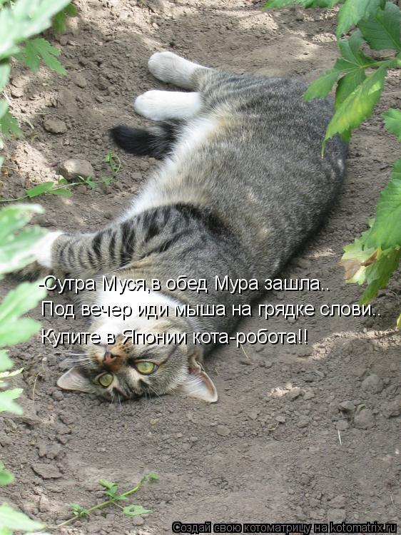 -Сутра Муся,в обед Мура зашла.. Под вечер иди мыша на грядке слови.. Купите в Японии кота-робота!!... Котоматрица: -Сутра Муся,в обед Мура зашла.. Под вечер иди мыша на грядке слови.. Купите в Японии кота-робота!!