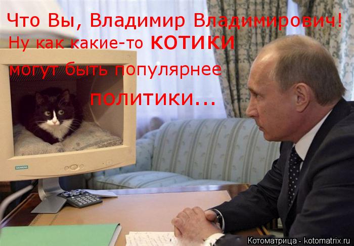 Что Вы, Владимир Владимирович! Ну как какие-то котики могут быть популярнее политики...... Котоматрица: Что Вы, Владимир Владимирович! Ну как какие-то котики могут быть популярнее политики...