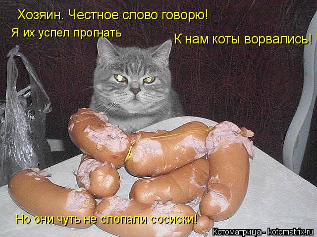 Хозяин. Честное слово говорю! К нам коты ворвались! Я их успел прогнать Но они чуть не слопали сосис... Котоматрица: Хозяин. Честное слово говорю! К нам коты ворвались! Я их успел прогнать Но они чуть не слопали сосиски!