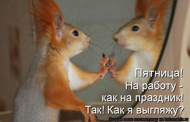 Так! Как я выгляжу? как на праздник! На работу - Пятница!... Котоматрица: Так! Как я выгляжу? как на праздник! На работу - Пятница!