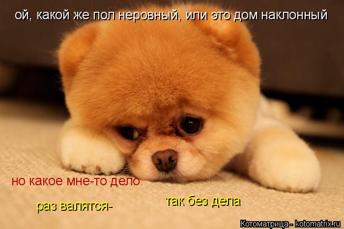 ой, какой же пол неровный, или это дом наклонный но какое мне-то дело раз валятся- так без дела... Котоматрица: ой, какой же пол неровный, или это дом наклонный но какое мне-то дело раз валятся- так без дела