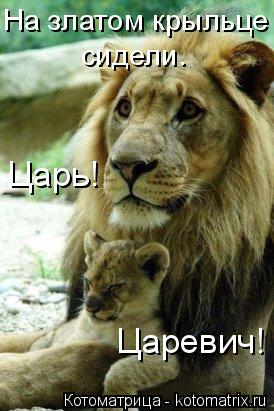 Царь! Царевич! На златом крыльце сидели.... Котоматрица: Царь! Царевич! На златом крыльце сидели.