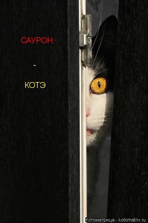 САУРОН - КОТЭ... Котоматрица: САУРОН - КОТЭ