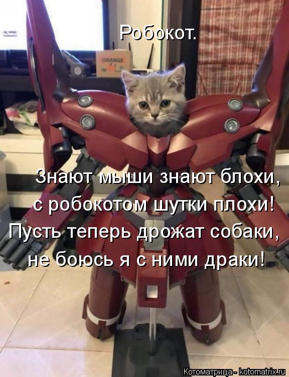 Робокот. Знают мыши знают блохи, с робокотом шутки плохи! Пусть теперь дрожат собаки, не боюсь я с ни... Котоматрица: Робокот. Знают мыши знают блохи, с робокотом шутки плохи! Пусть теперь дрожат собаки, не боюсь я с ними драки!