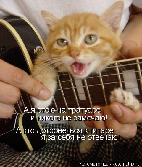 А я стою на тратуаре и никого не замечаю! А кто дотронеться к гитаре я за себя не отвечаю!... Котоматрица: А я стою на тратуаре и никого не замечаю! А кто дотронеться к гитаре я за себя не отвечаю!