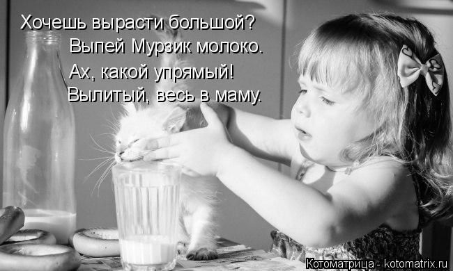 Хочешь вырасти большой? Выпей Мурзик молоко. Ах, какой упрямый! Вылитый, весь в маму.... Котоматрица: Хочешь вырасти большой? Выпей Мурзик молоко. Ах, какой упрямый! Вылитый, весь в маму.
