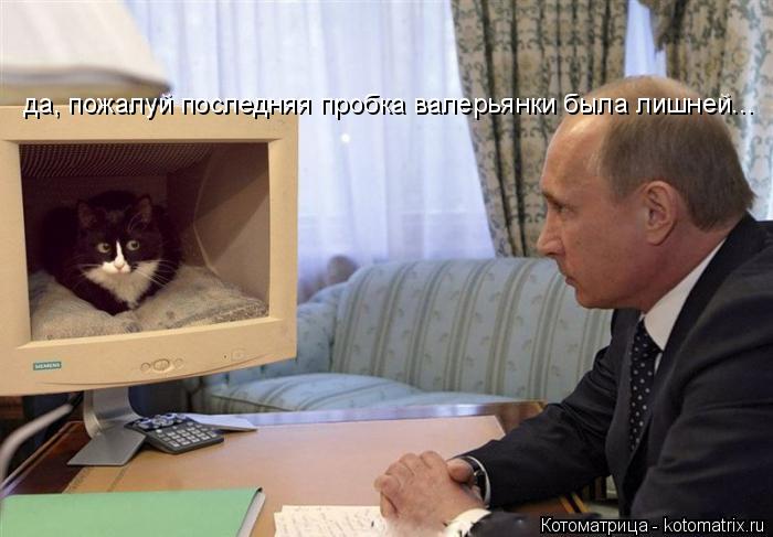 да, пожалуй последняя пробка валерьянки была лишней...... Котоматрица: да, пожалуй последняя пробка валерьянки была лишней...