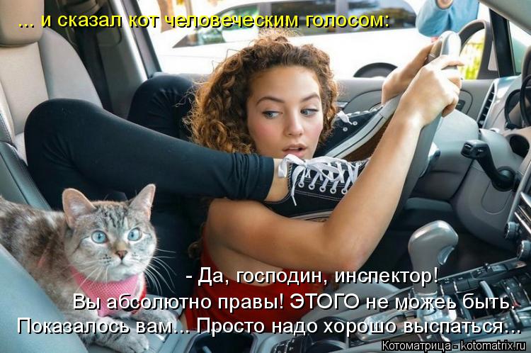 ... и сказал кот человеческим голосом: Показалось вам... Просто надо хорошо выспаться... Вы абсолютно... Котоматрица: ... и сказал кот человеческим голосом: Показалось вам... Просто надо хорошо выспаться... Вы абсолютно правы! ЭТОГО не можеь быть. - Да, господин,