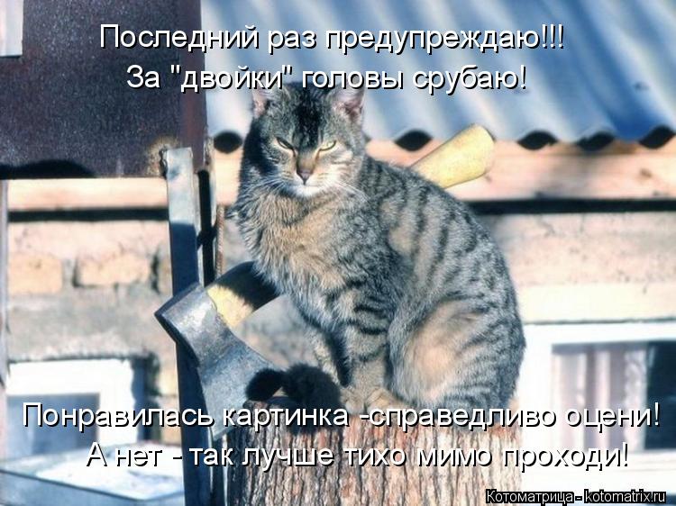 Последний раз предупреждаю!!! За "двойки" головы срубаю! Понравилась картинка -справедливо оцени! А н... Котоматрица: Последний раз предупреждаю!!! За "двойки" головы срубаю! Понравилась картинка -справедливо оцени! А нет - так лучше тихо мимо проходи!