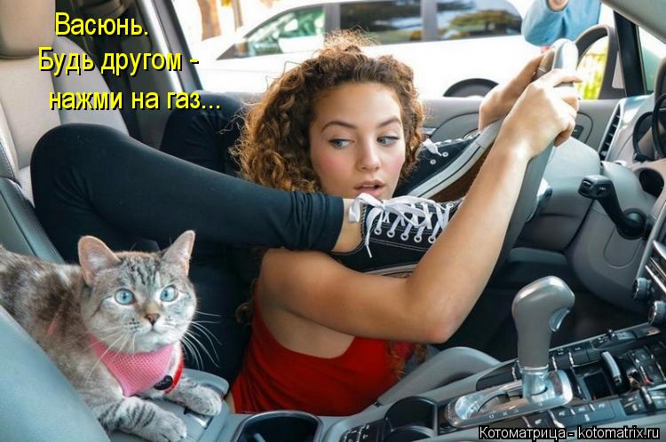 Васюнь. Будь другом - нажми на газ...... Котоматрица: Васюнь. Будь другом - нажми на газ...