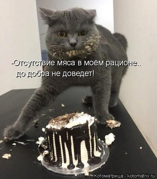 -Отсутствие мяса в моём рационе.. до добра не доведет!... Котоматрица: -Отсутствие мяса в моём рационе.. до добра не доведет!