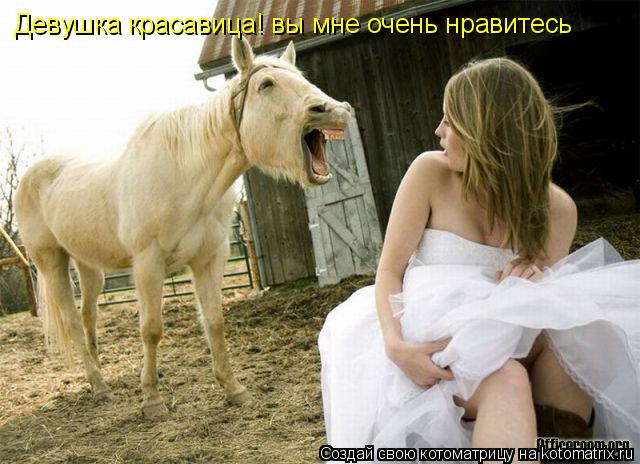 Девушка красавица! вы мне очень нравитесь... Котоматрица: Девушка красавица! вы мне очень нравитесь