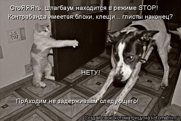 СтоЯЯЯть, шлагбаум находится в режиме STOP! Контрабанда имеется:блохи, клещи... глисты наконец? НЕТУ!... Котоматрица: СтоЯЯЯть, шлагбаум находится в режиме STOP! Контрабанда имеется:блохи, клещи... глисты наконец? НЕТУ! ПрАходим не задерживаем следующего!