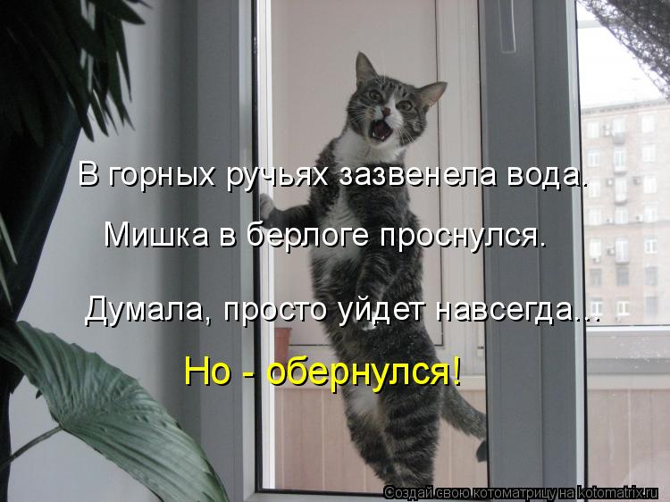 В горных ручьях зазвенела вода. Думала, просто уйдет навсегда... Мишка в берлоге проснулся. Но - обер... Котоматрица: В горных ручьях зазвенела вода. Думала, просто уйдет навсегда... Мишка в берлоге проснулся. Но - обернулся!