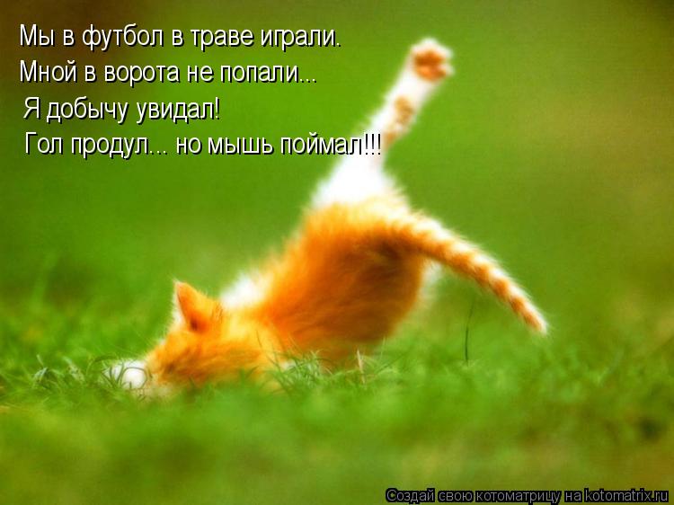 Мы в футбол в траве играли. Мной в ворота не попали... Я добычу увидал! Гол продул... но мышь поймал!... Котоматрица: Мы в футбол в траве играли. Мной в ворота не попали... Я добычу увидал! Гол продул... но мышь поймал!!!
