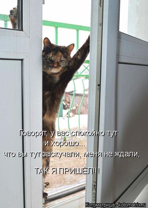 Говорят, у вас спокойно тут и хорошо... что вы тут заскучали, меня не ждали, ТАК Я ПРИШЁЛ!!!... Котоматрица: Говорят, у вас спокойно тут и хорошо... что вы тут заскучали, меня не ждали, ТАК Я ПРИШЁЛ!!!