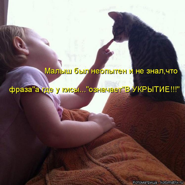 Малыш был неопытен и не знал,что фраза"а где у кисы..."означает"В УКРЫТИЕ!!!"... Котоматрица: Малыш был неопытен и не знал,что фраза"а где у кисы..."означает"В УКРЫТИЕ!!!"