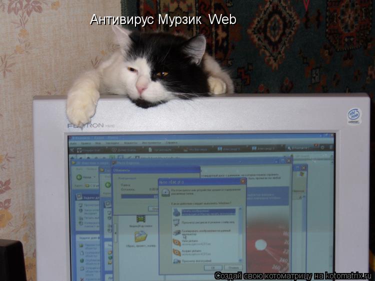 Антивирус Мурзик Web... Котоматрица: Антивирус Мурзик Web