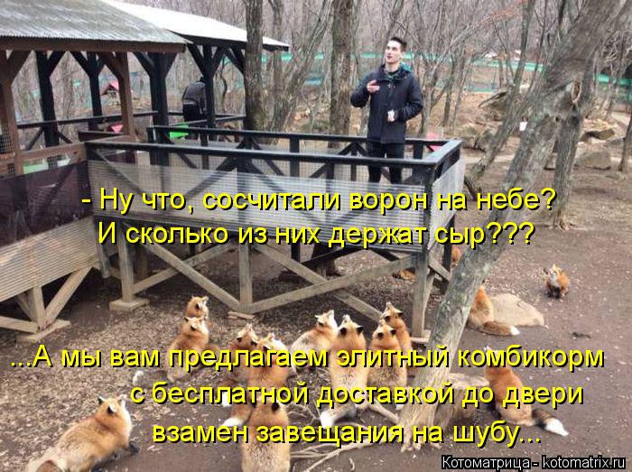 - Ну что, сосчитали ворон на небе? И сколько из них держат сыр??? ...А мы вам предлагаем элитный комб... Котоматрица: - Ну что, сосчитали ворон на небе? И сколько из них держат сыр??? ...А мы вам предлагаем элитный комбикорм с бесплатной доставкой до двери взаме
