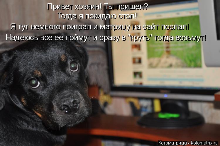 Привет хозяин! Ты пришел? Тогда я покидаю стол! Я тут немного поиграл и матрицу на сайт послал! Надею... Котоматрица: Привет хозяин! Ты пришел? Тогда я покидаю стол! Я тут немного поиграл и матрицу на сайт послал! Надеюсь все ее поймут и сразу в "круть" тогда в?