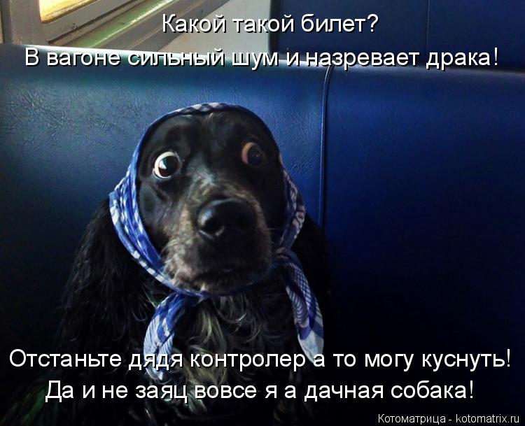 Какой такой билет? В вагоне сильный шум и назревает драка! Да и не заяц вовсе я а дачная собака! Отст... Котоматрица: Какой такой билет? В вагоне сильный шум и назревает драка! Да и не заяц вовсе я а дачная собака! Отстаньте дядя контролер а то могу куснуть!