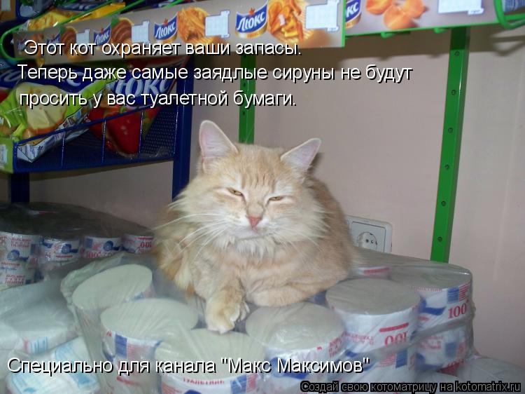 Этот кот охраняет ваши запасц. Этот кот охраняет ваши запасы. Теперь даже самые заядлые сируны не буд... Котоматрица: Этот кот охраняет ваши запасц. Этот кот охраняет ваши запасы. Теперь даже самые заядлые сируны не будут просить у вас туалетной бумаги. Спец