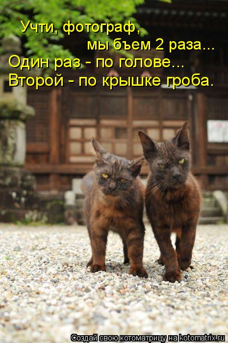 Учти, фотограф, мы бъем 2 раза... Один раз - по голове... Второй - по крышке гроба.... Котоматрица: Учти, фотограф, мы бъем 2 раза... Один раз - по голове... Второй - по крышке гроба.