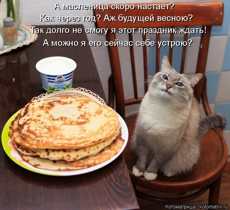 Котоматрица: А масленица скоро настает? Как через год? Аж будущей весною? Так долго не смогу я этот праздник ждать! А можно я его сейчас себе устрою?